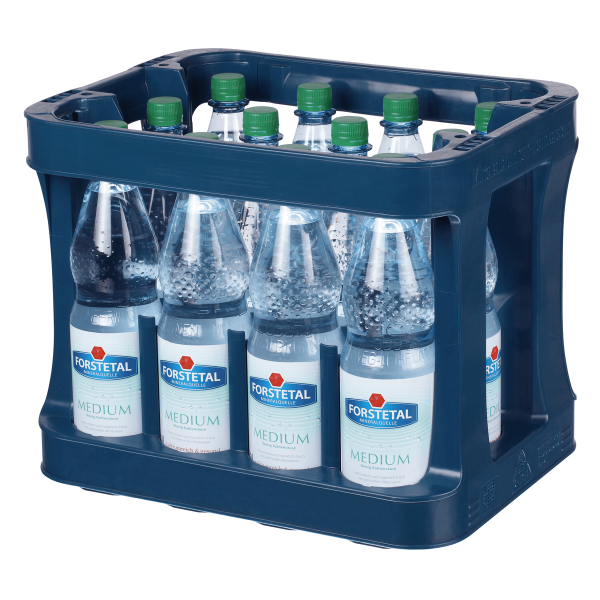 Bild von FORSTETAL600 medium  12 x 1L